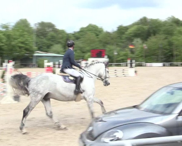 Reitturnier Bochum-Nord 2016