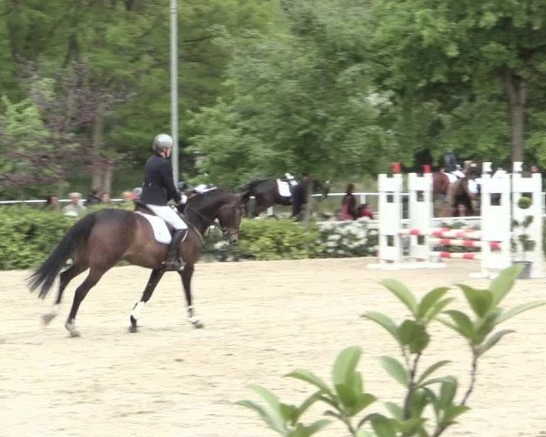 Reitturnier Bochum-Nord 2016