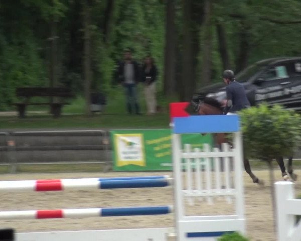 Reitturnier Mönchengladbach-Wickrath 2016