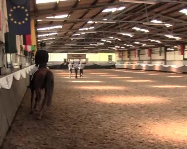Reitturnier Bochum-Nord 2016
