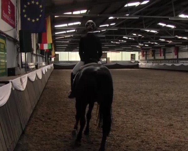 Reitturnier Bochum-Nord 2016