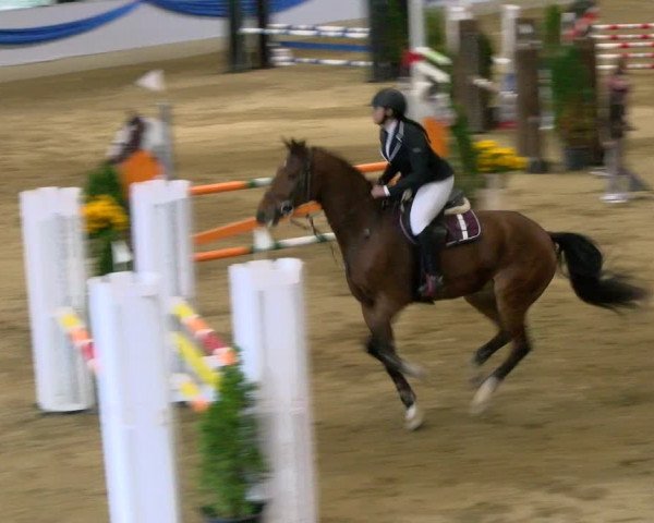 Reitturnier Buchs 2021