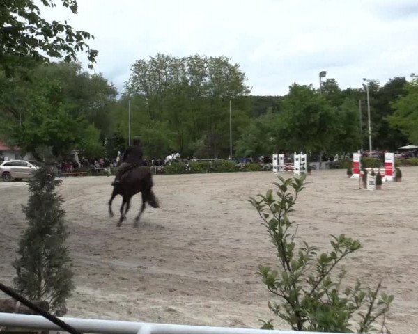 Reitturnier Bochum-Nord 2016