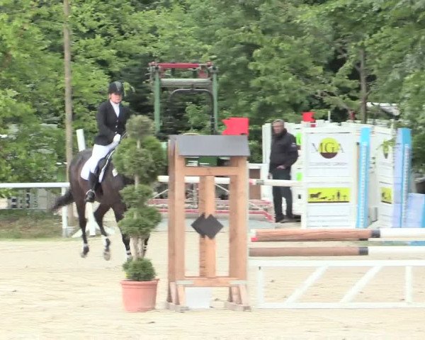 Reitturnier Bochum-Nord 2016