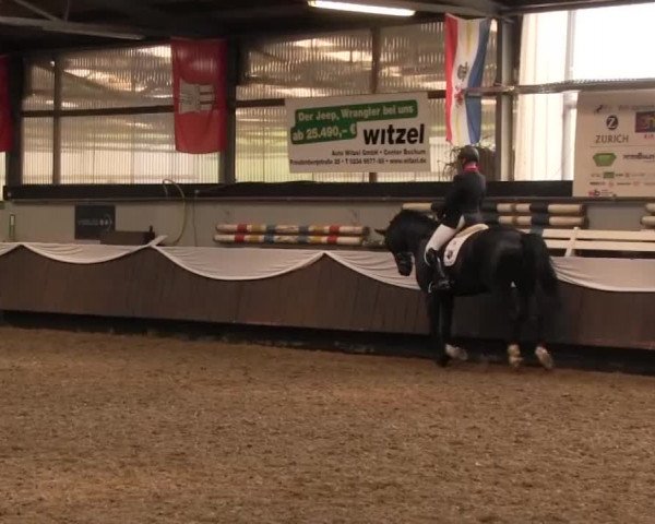 Reitturnier Bochum-Nord 2016
