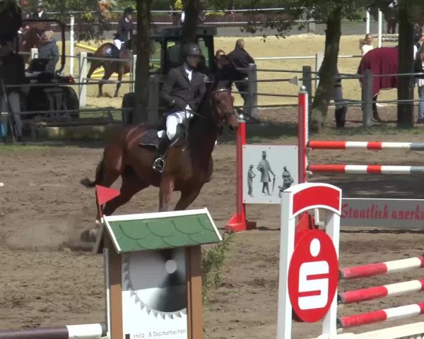 Reitturnier Mettingen 2016
