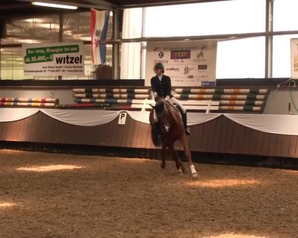 Reitturnier Bochum-Nord 2016