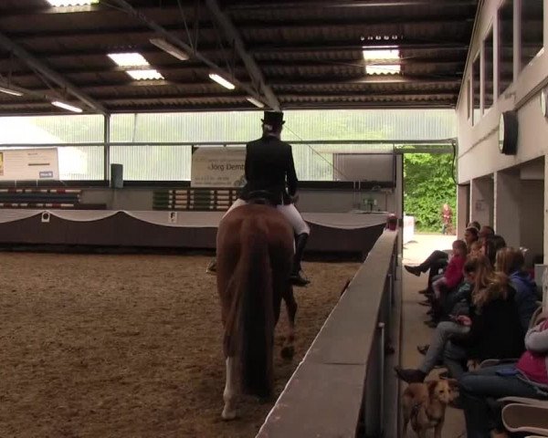 Reitturnier Bochum-Nord 2016