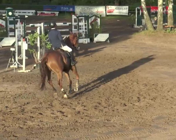 Reitturnier Mettingen 2016