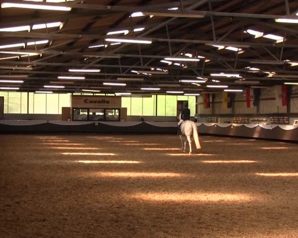 Reitturnier Bochum-Nord 2016