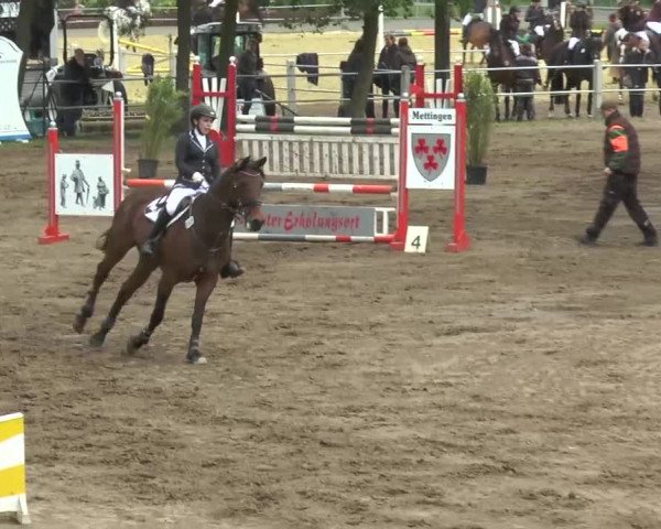 Reitturnier Mettingen 2016