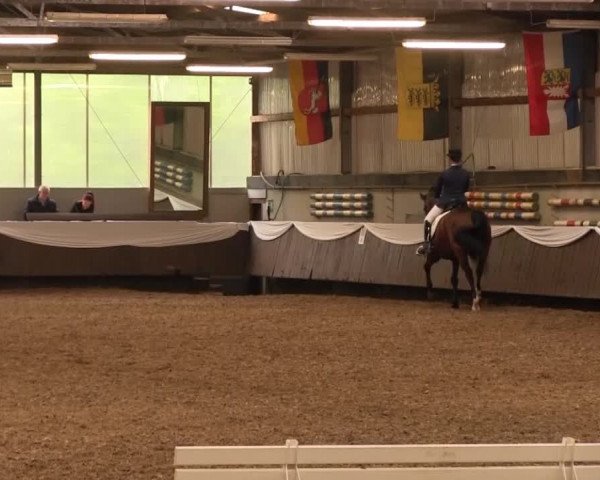 Reitturnier Bochum-Nord 2016
