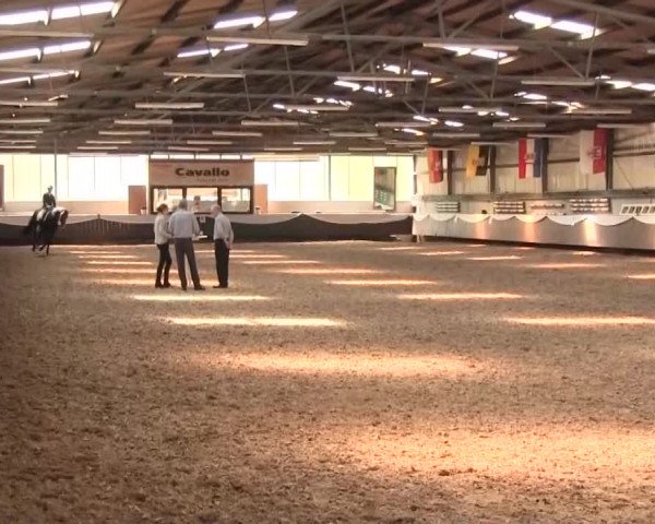 Reitturnier Bochum-Nord 2016