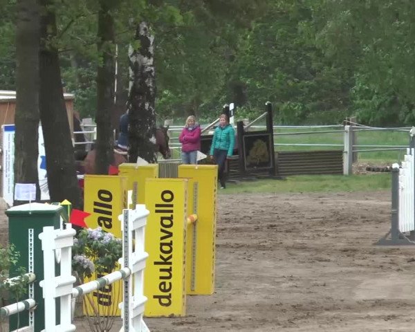 Reitturnier Mettingen 2016