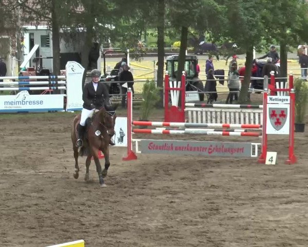 Reitturnier Mettingen 2016