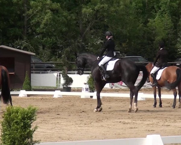Reitturnier Frechen-Grefrath - Sonnenhof 2016