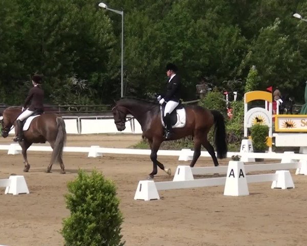 Reitturnier Frechen-Grefrath - Sonnenhof 2016