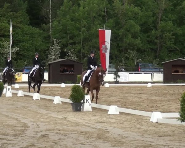 Reitturnier Frechen-Grefrath - Sonnenhof 2016