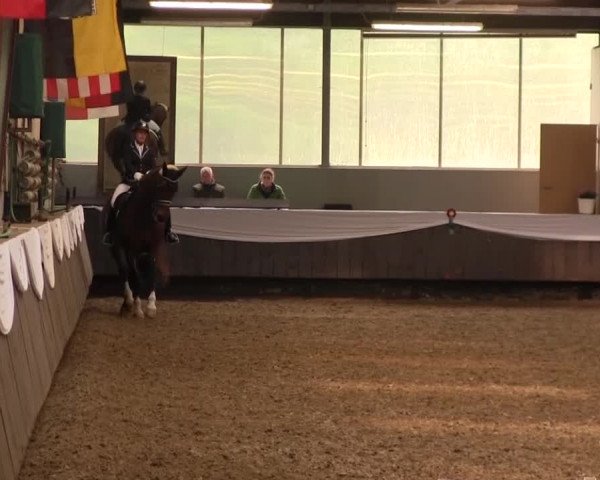 Reitturnier Bochum-Nord 2016
