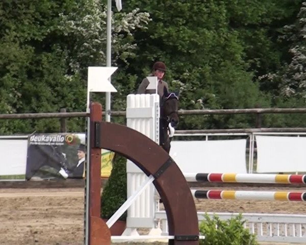 Reitturnier Frechen-Grefrath - Sonnenhof 2016