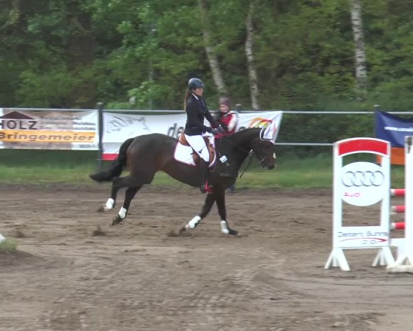 Reitturnier Mettingen 2016
