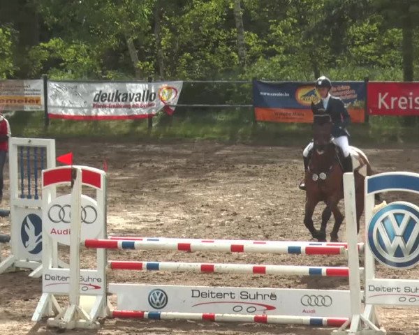 Reitturnier Mettingen 2016
