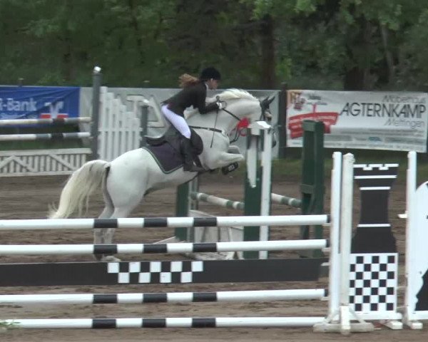 Reitturnier Mettingen 2016