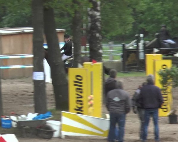Reitturnier Mettingen 2016