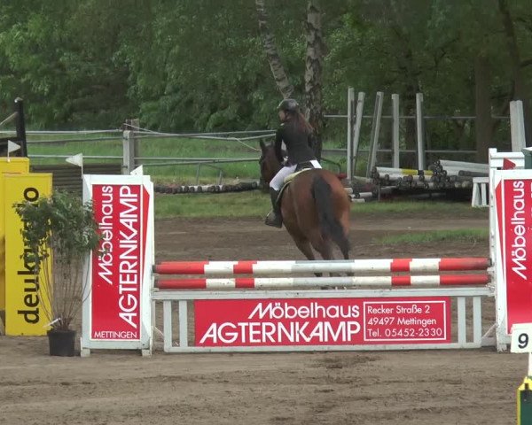 Reitturnier Mettingen 2016