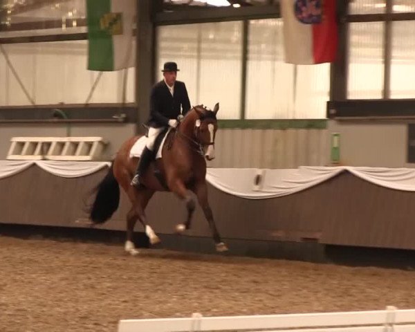Reitturnier Bochum-Nord 2016