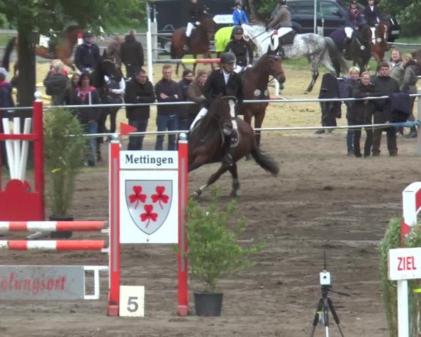 Reitturnier Mettingen 2016