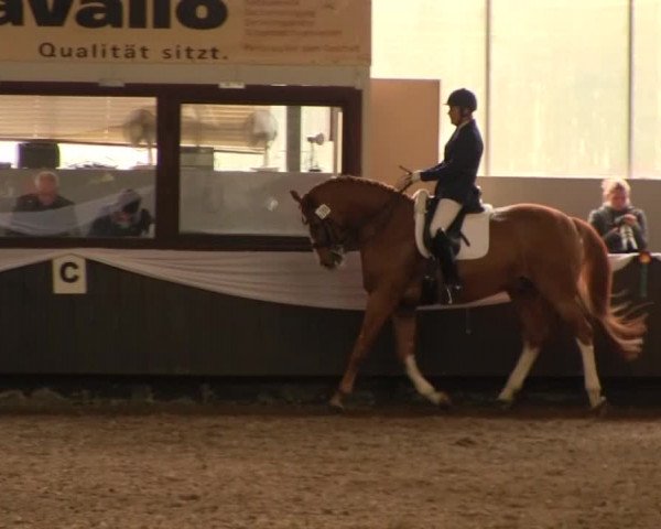 Reitturnier Bochum-Nord 2016