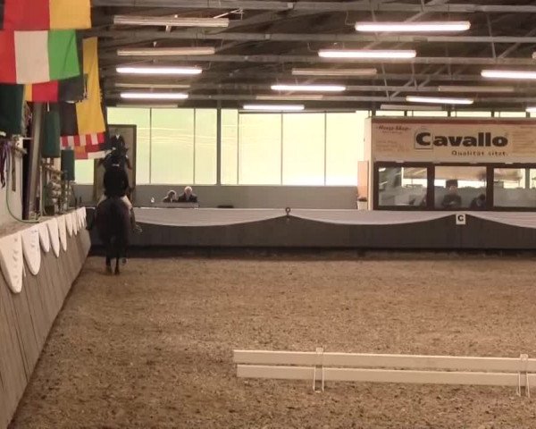 Reitturnier Bochum-Nord 2016