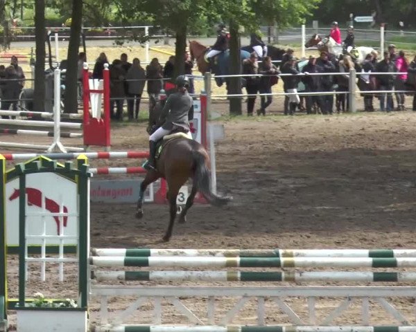 Reitturnier Mettingen 2016