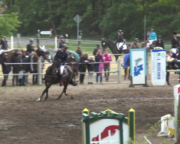 Reitturnier Mettingen 2016