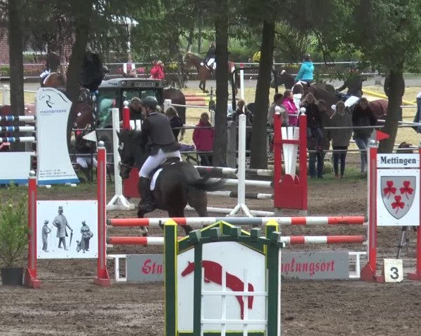 Reitturnier Mettingen 2016