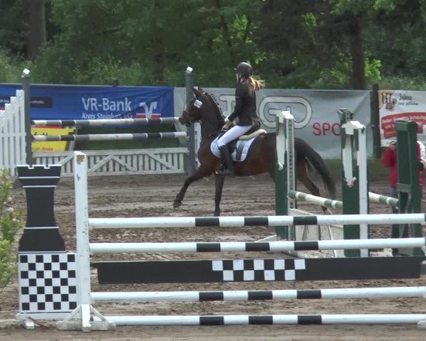 Reitturnier Mettingen 2016