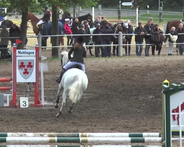 Reitturnier Mettingen 2016