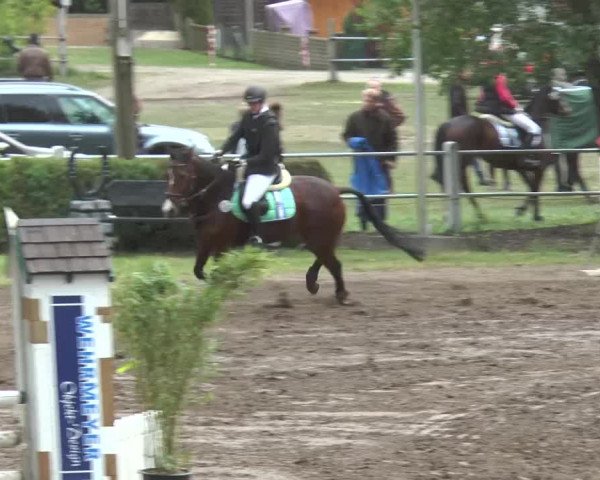 Reitturnier Mettingen 2016