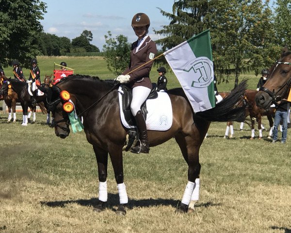 broodmare Carlotta 165 (German Riding Pony, 2006, from Cyriac WE)
