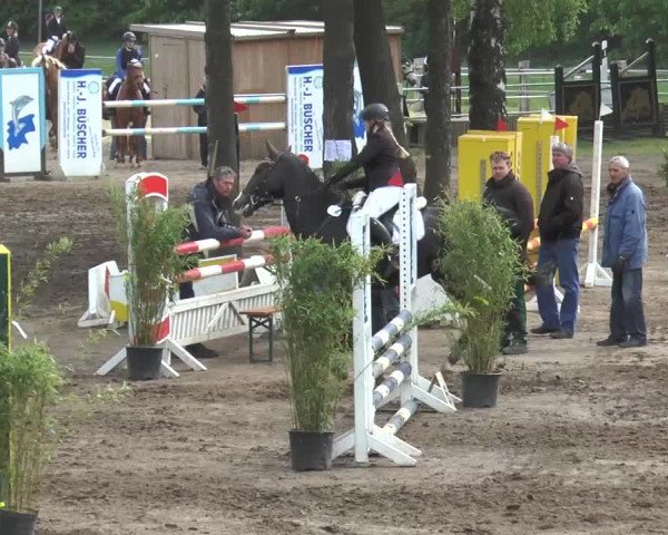 Reitturnier Mettingen 2016