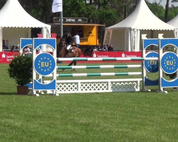 Reitturnier Cottbus-Sielow 2016