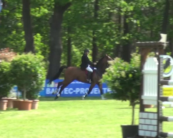 Reitturnier Cottbus-Sielow 2016