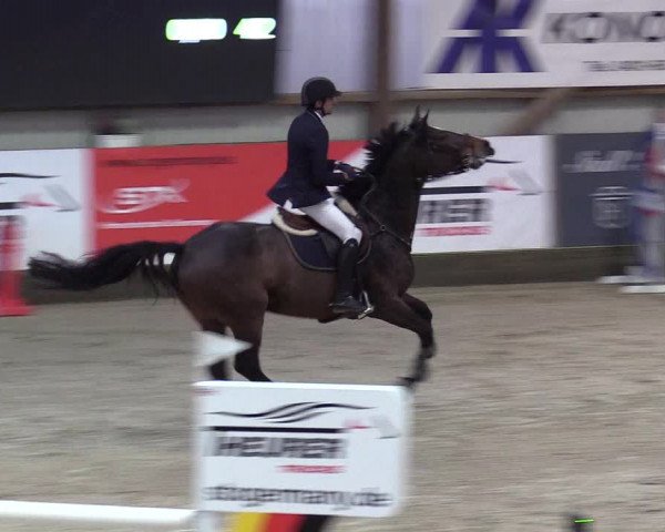 5. Nordic Jumping in Negernbötel 2021