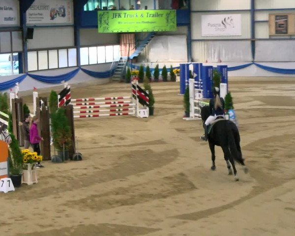 Reitturnier Buchs 2021
