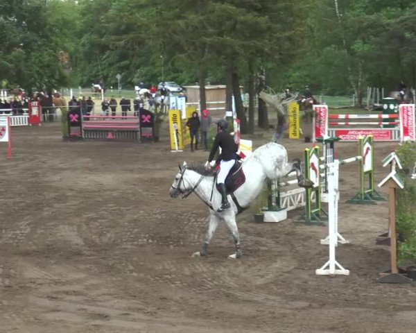 Reitturnier Mettingen 2016