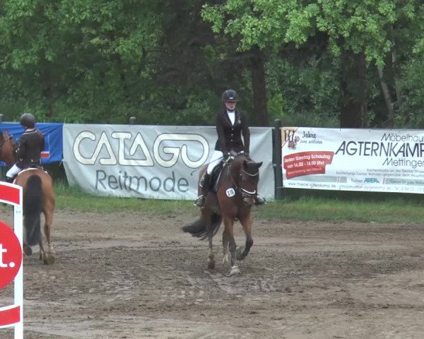 Reitturnier Mettingen 2016