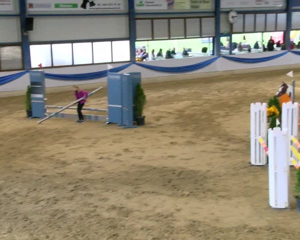 Reitturnier Buchs 2021
