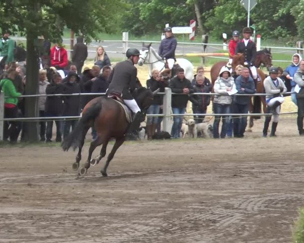 Reitturnier Mettingen 2016