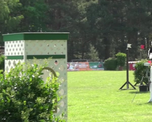 Reitturnier Cottbus-Sielow 2016
